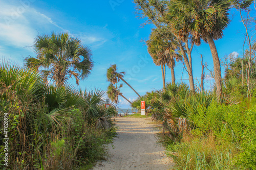 Konstfotografi Botany Bay Beach on Edisto Island, South Carolina --- AKA Boneyard Beach