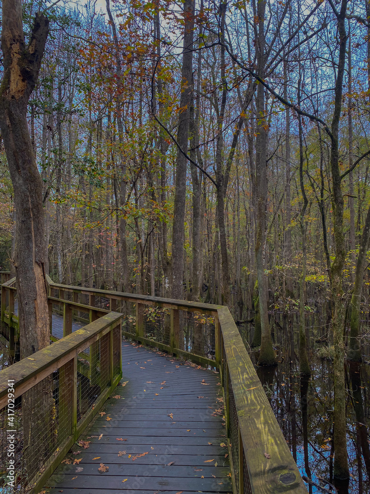 Congaree National Park in South Carolina Congaree National Park in South Carolina