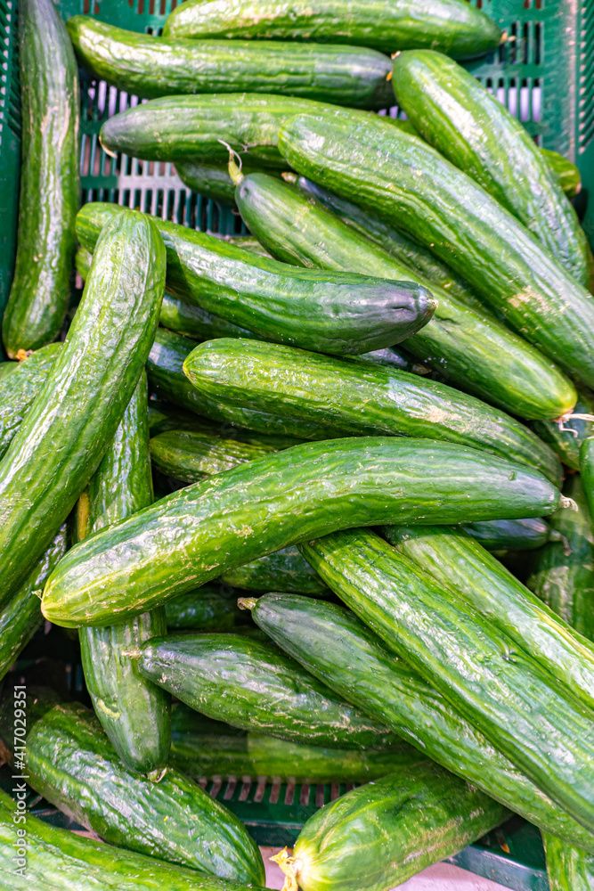Green cucumbers sold in supermarket at grocery section Green cucumbers sold in supermarket at grocery section