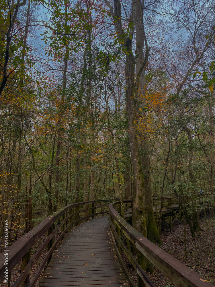 Congaree National Park in South Carolina Congaree National Park in South Carolina
