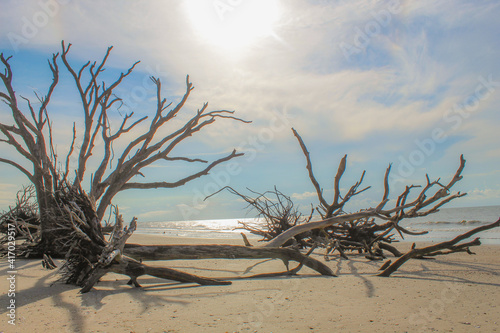 Botany Bay Beach on Edisto Island, South Carolina 