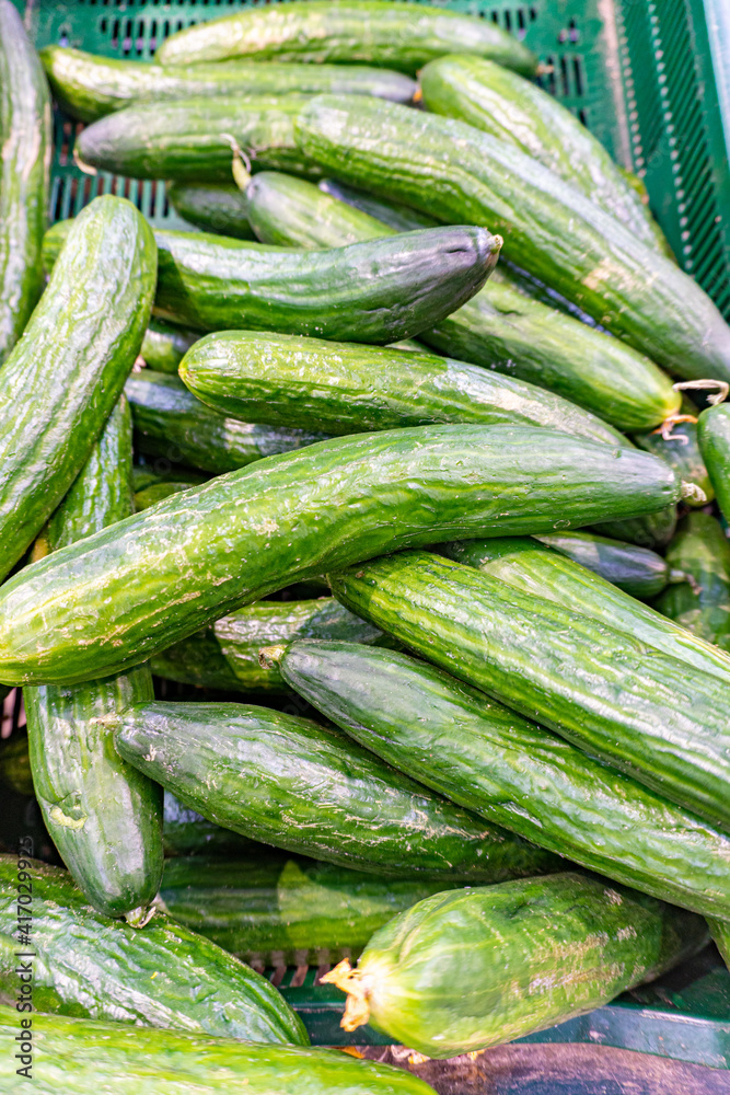 Green cucumbers sold in the grocery store at supermarket Green cucumbers sold in the grocery store at supermarket