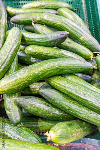 Green cucumbers sold in the grocery store at supermarket
