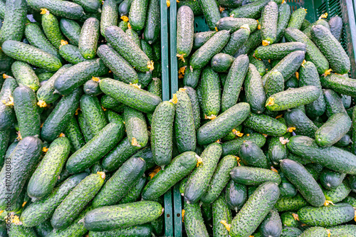 Close-up of cucumber on display in grocery store