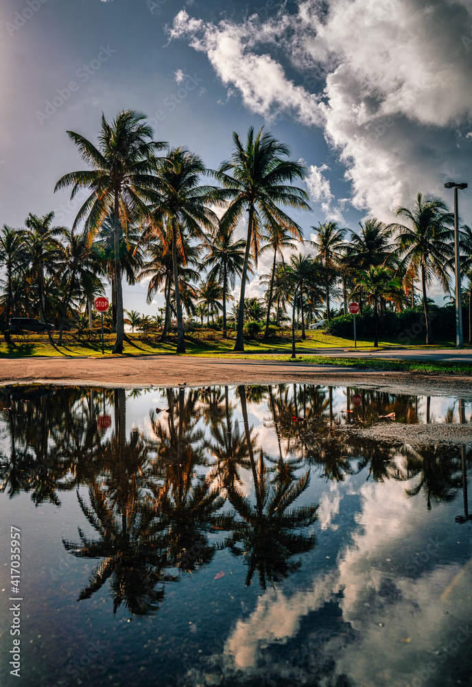tropical landscape reflections sun palms summer beach water clouds sky beautiful place sign stop trees lake vertical miami florida