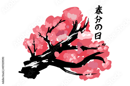 Translation: Vernal Equinox Day. Happy Vernal Equinox Day (Shunbun no Hi) vector illustration. 