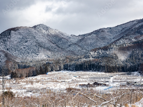 Winter forest Mt. Kosha foothills in Nagano, Japan