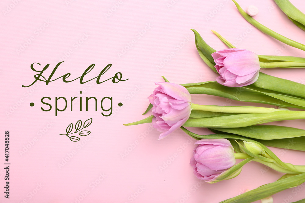 Beautiful tulip flowers and text HELLO SPRING on color background