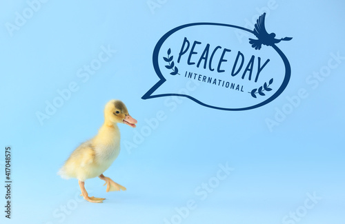 Cute duckling on color back...