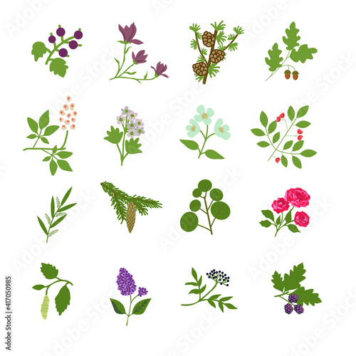 Isolated plants set
