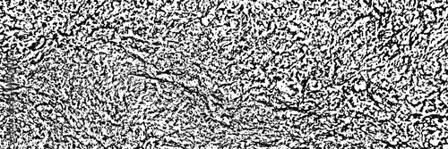 Grunge rough background. Vector banner, hades of gray.