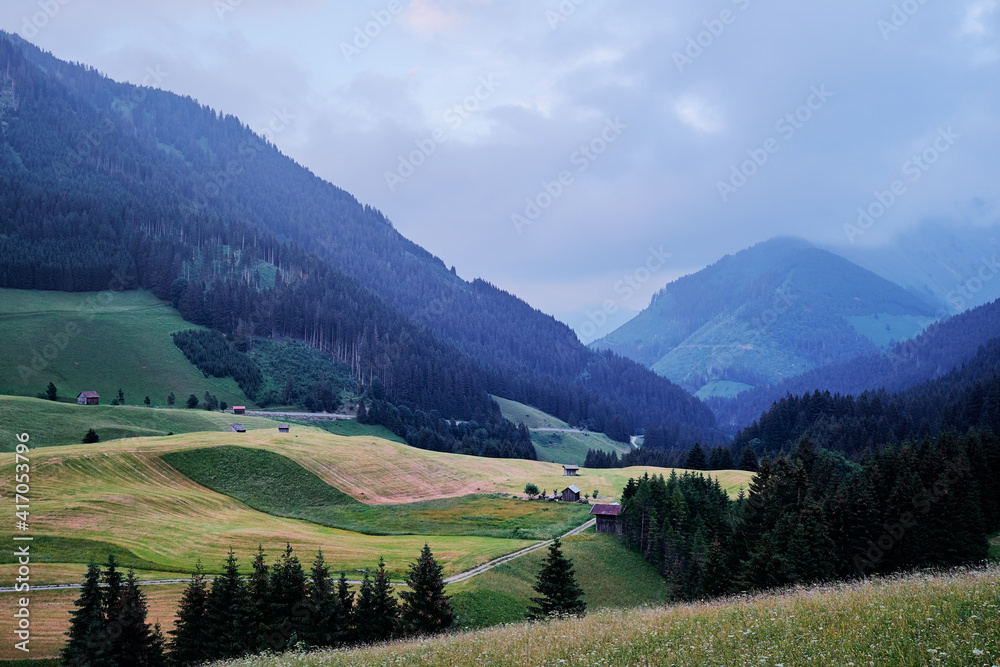 Amazing alpine scenery from Berwang, Austria. Summer landscape with green fields and Alps Mountains.