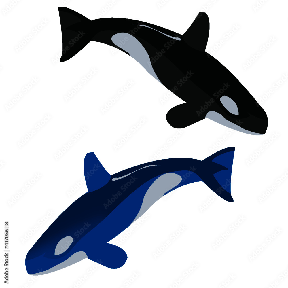 Naklejka premium Two sharks in the form of illustration.