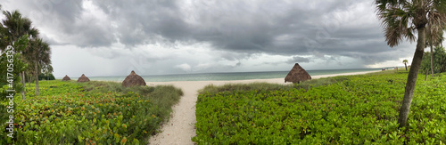 old house in the field