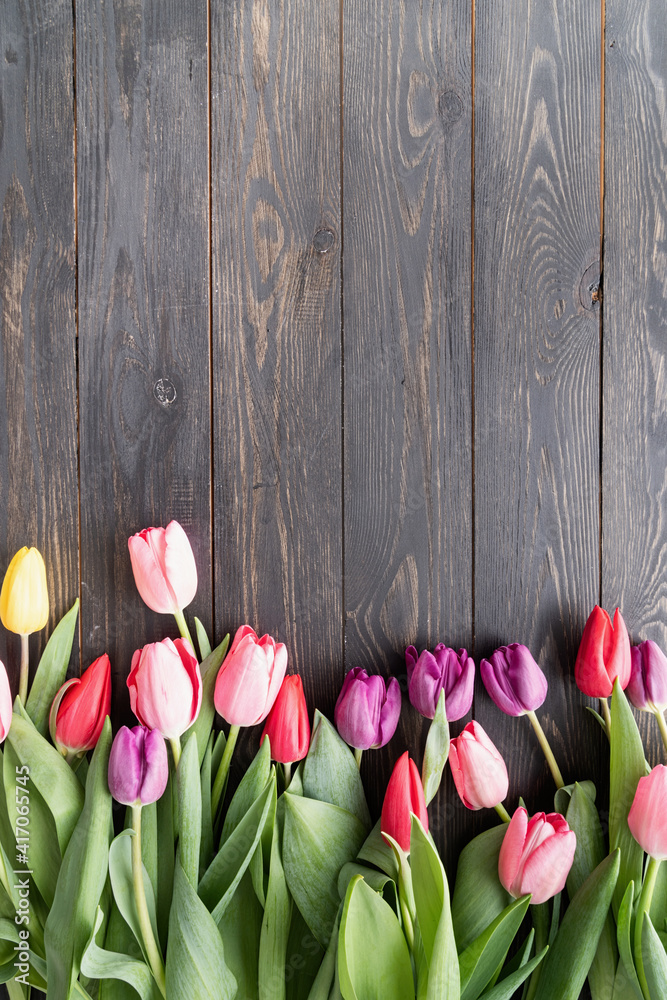 colorfull tulips over black wooden table background