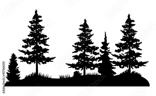 vector pine forest