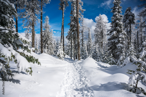 Hiking at Mount Spokane in winter