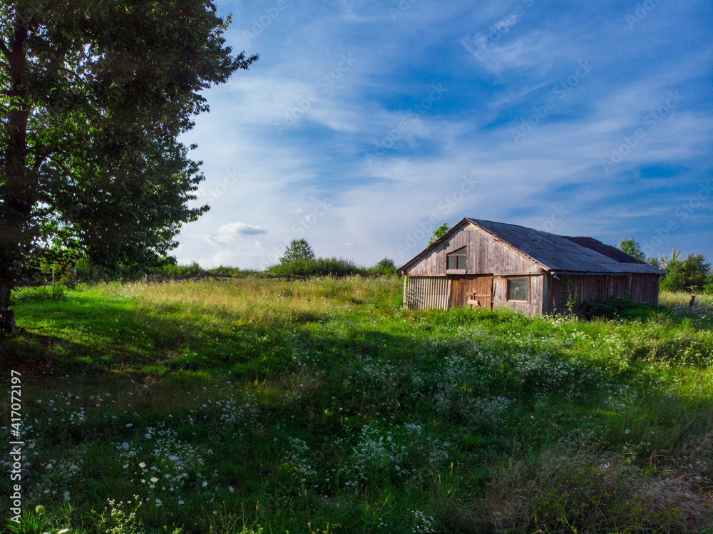 Summer. Sunny day. Abandoned old wooden farmhouse on a green meadow Summer. Sunny day. Abandoned old wooden farmhouse on a green meadow