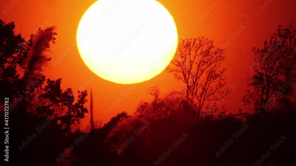 Sunset timelapse with a huge Sun above the trees Sunset timelapse with a huge Sun above the trees