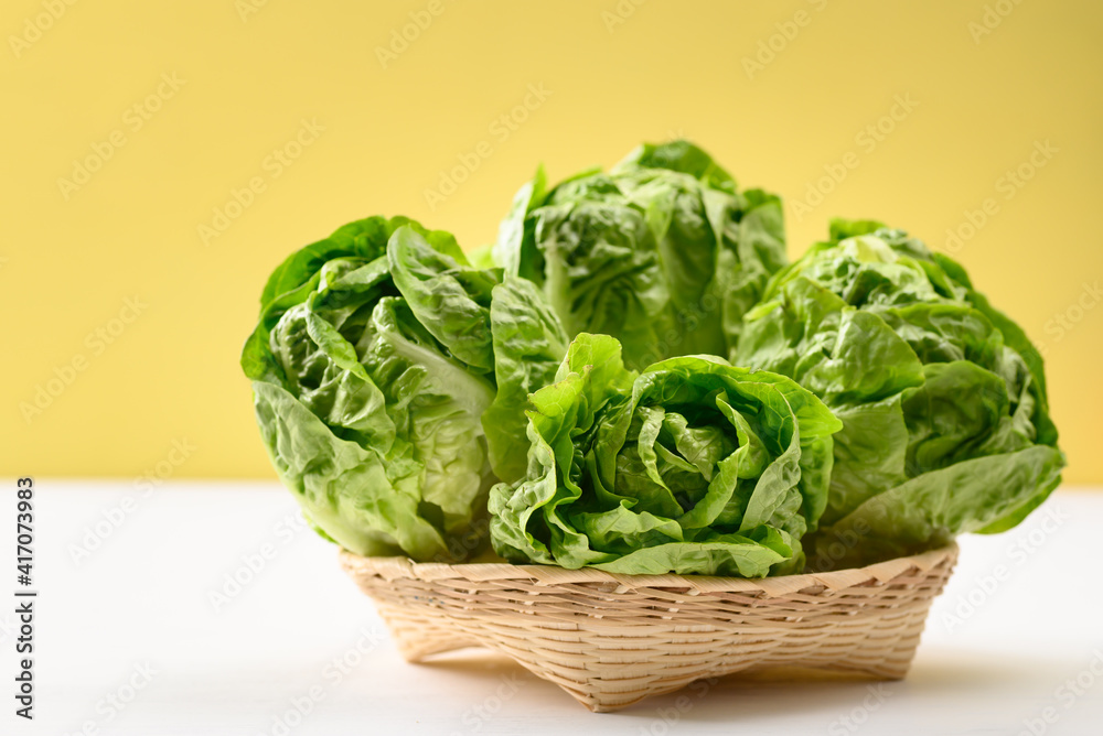 Fresh cos lettuce in a bamboo basket on white and yellow background, Organic vegetables