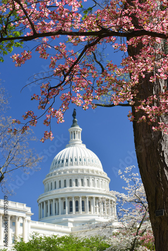 Capitol Building in springtime - Washington D.C. United States of America