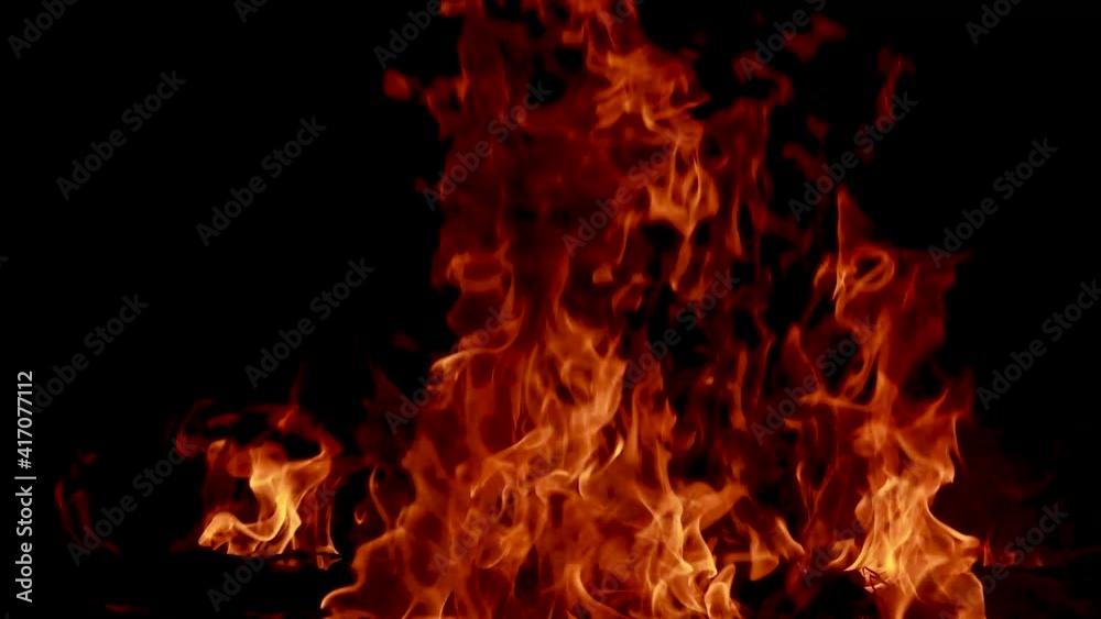 Fire Looping isolated seamless loop. Looping Fire Element, SMotion Fire Ignition From Bottom To Top. Isolated fire flame Fire Looping isolated seamless loop. Looping Fire Element, SMotion Fire Ignition From Bottom To Top. Isolated fire flame