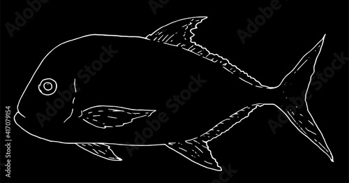 vector illustration of sea fish giant trevally white outline on black background. isolated fishing item, fish menu design template.