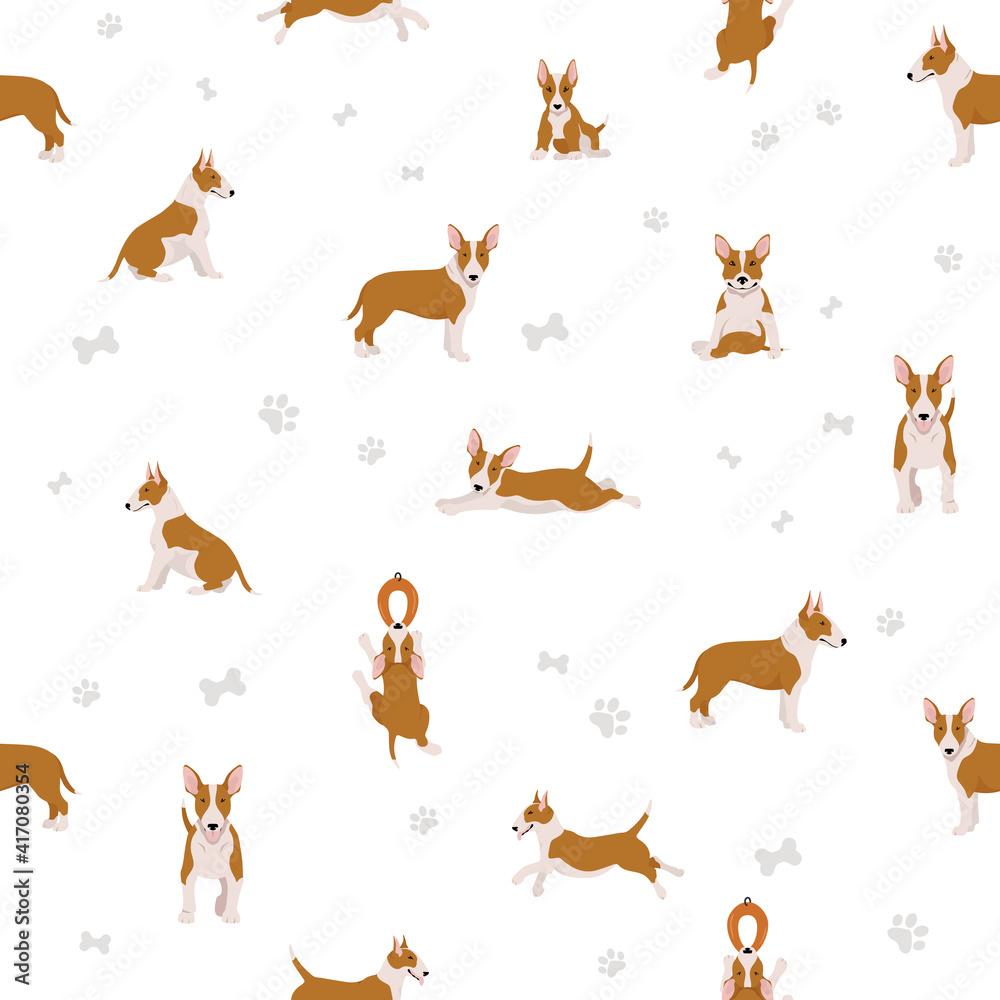 Fototapeta premium Bull terrier seamless pattern. Different poses, coat colors set.