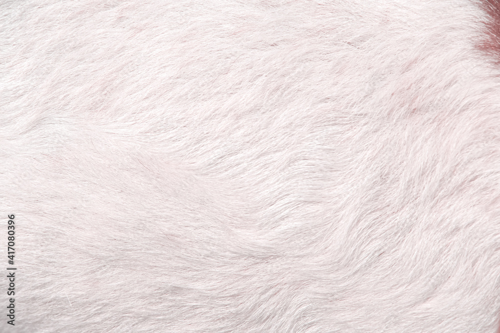 Fur goat texture abstract white with brown background Fur goat texture abstract white with brown background