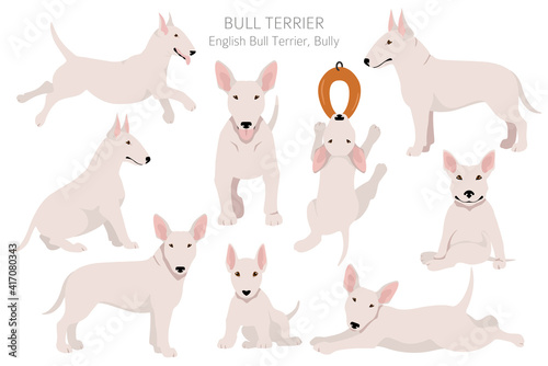 Bull terrier clipart. Different poses  coat colors set.
