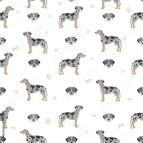 Fototapeta Naklejka Na Ścianę i Meble -  Catahoula leopard dog seamless pattern. Different poses, coat colors set.