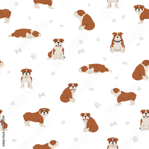 English bulldog seamless pattern. Different poses, coat colors set