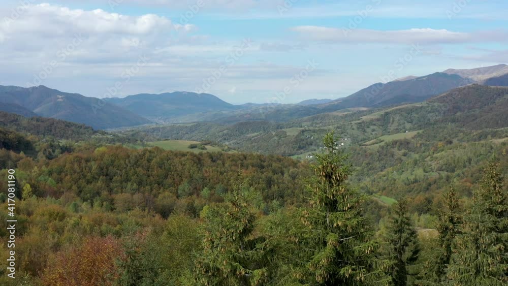 Aerial view of mountain landscape with evergreen pine trees. View from the top of mountain.