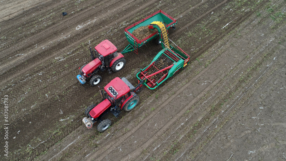 Farmers use agricultural machinery to harvest potatoes on the farm