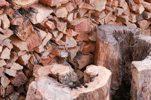 Preparation of firewood for the winter. firewood background, Stacks of firewood in the forest. Pile of firewood.