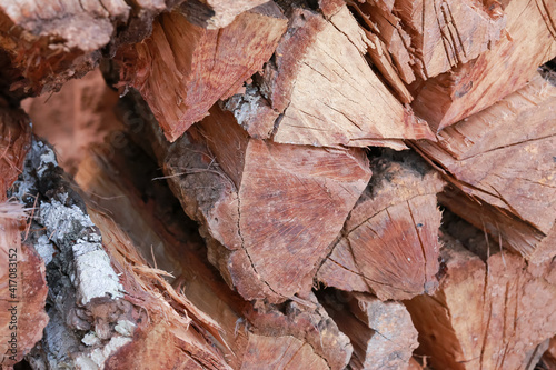 Preparation of firewood for the winter. firewood background, Stacks of firewood in the forest. Pile of firewood.