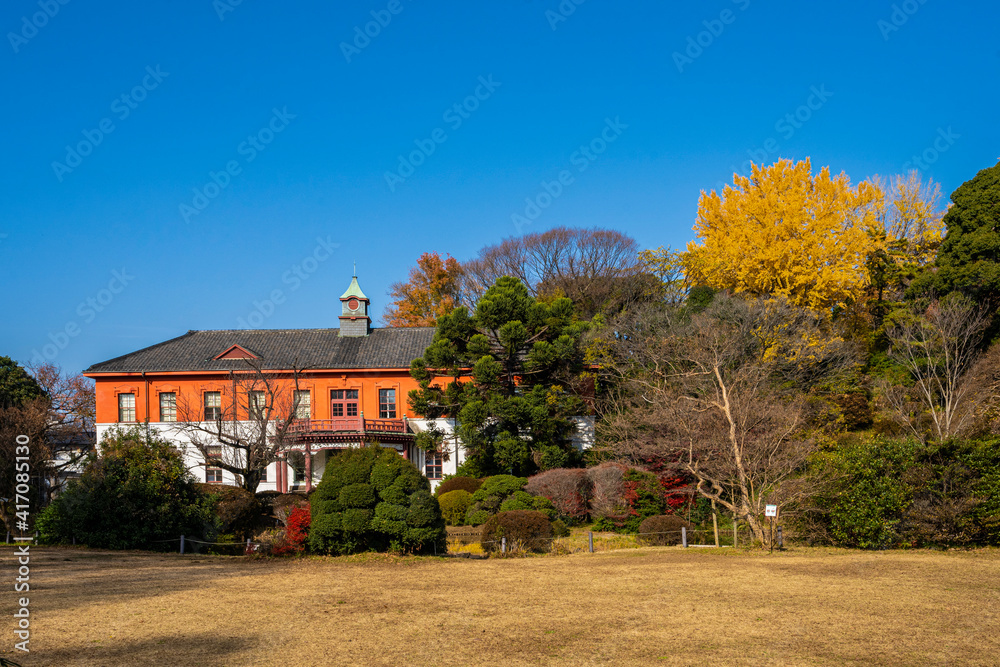 Obraz premium 小石川植物園
