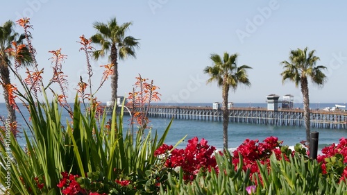 Pacific ocean beach, palm trees, flowers and pier. Sunny day, tropical waterfront resort. Oceanside vista viewpoint near Los Angeles California USA. Summer sea coast aesthetic, seascape and blue sky.