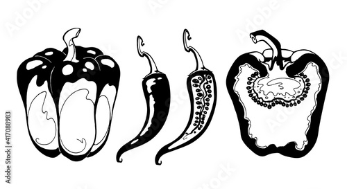 Set of vector drawing of sweet pepper, chilli pepper, paprika, sliced pepper, paprika seeds, hot pepper seeds, vector drawings by hand isolated on a white background.