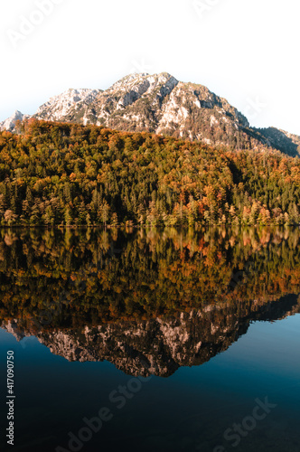 Reflection at Leopoldsteinersee, Austria