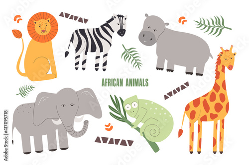 Photography Collection of African wild animals