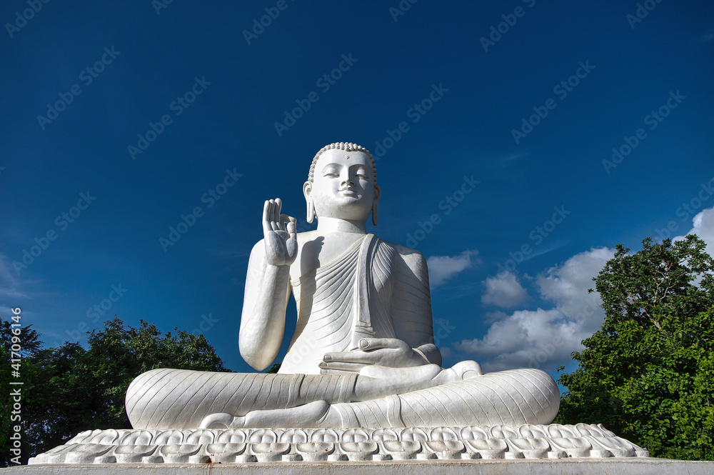 Fototapeta premium travels