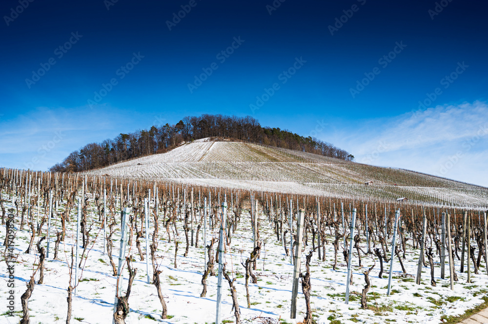 A beautiful shot of a snowy vineyard with a forest on a hill and a blue cloudy sky in the background.