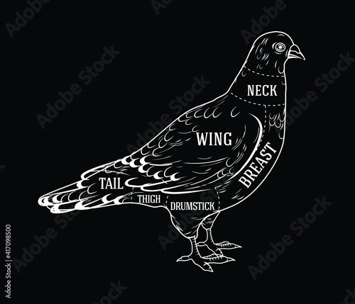 Butcher diagram guide for cutting pigeon in black and white graphic style