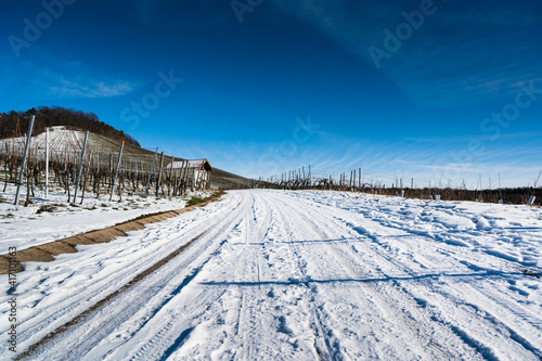 A beautiful shot of a snowy vineyard road with a blue sky in the background