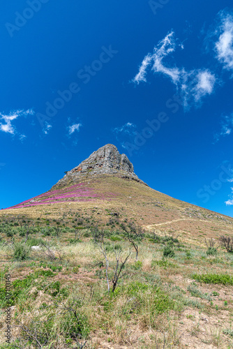 Berg Felsen spitz zulaufend im Sonnenlicht mit Büschen und Sträucher  photo