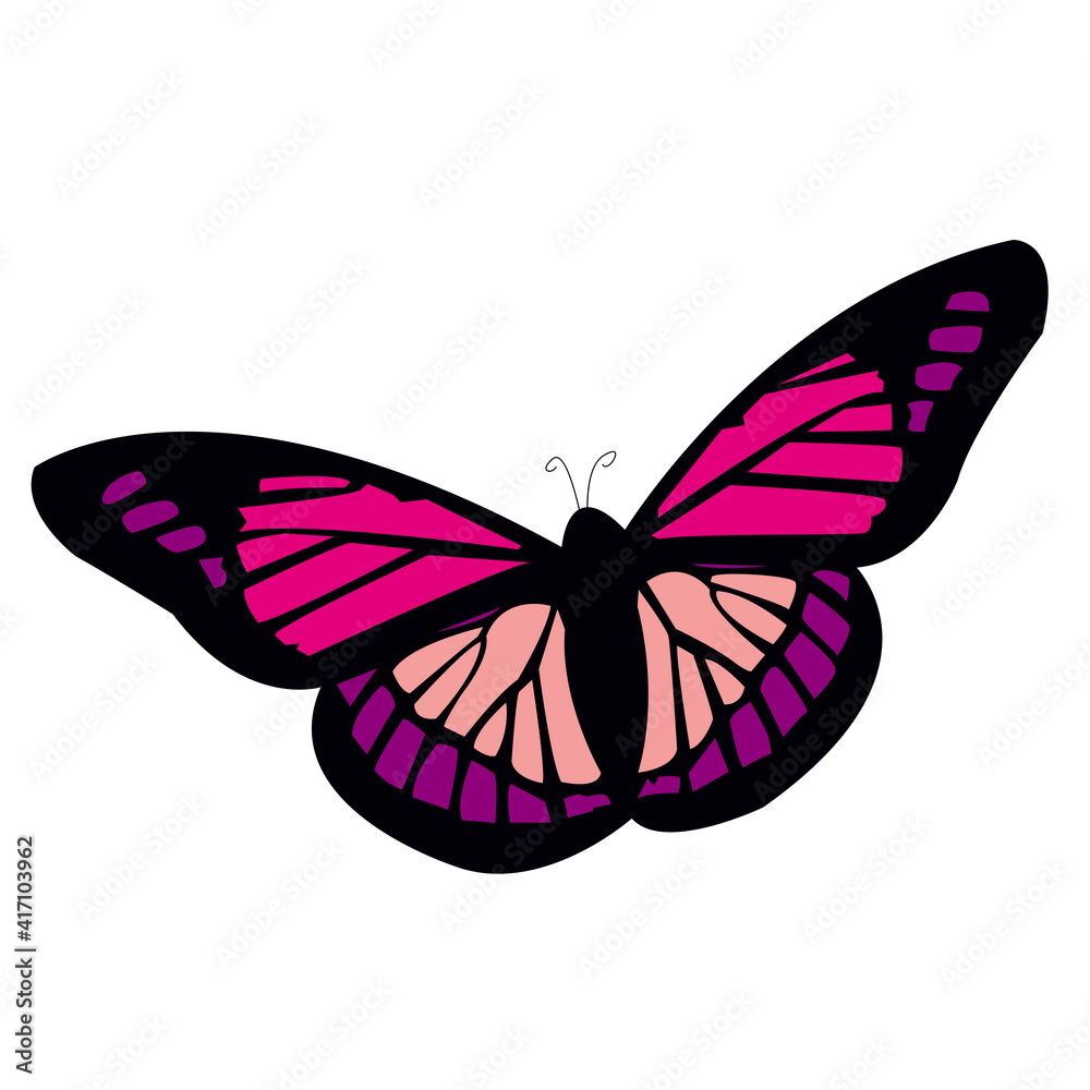 Beautiful colored butterfly in illustration Beautiful colored butterfly in illustration