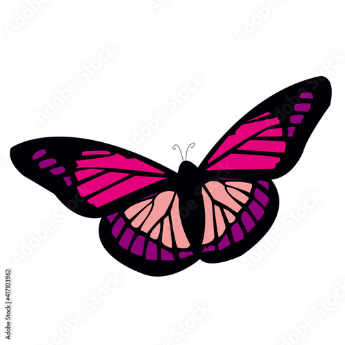 Beautiful colored butterfly in illustration © Ramli