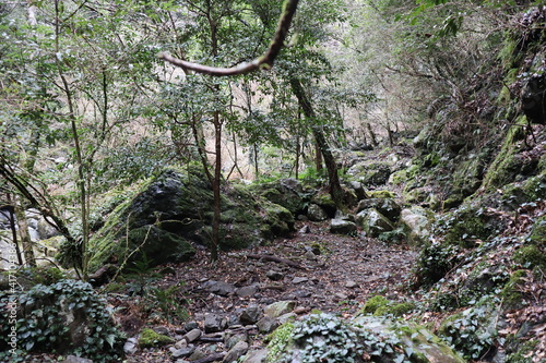 高知県室戸市佐喜浜町　唐谷 photo