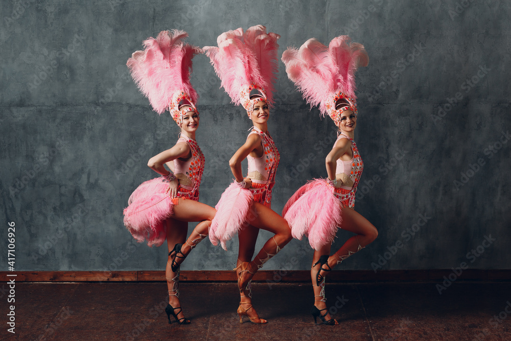Women in cabaret costume with pink feathers plumage dancing samba - obrazy, fototapety, plakaty 
